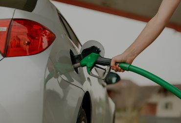 CEGA BLOG